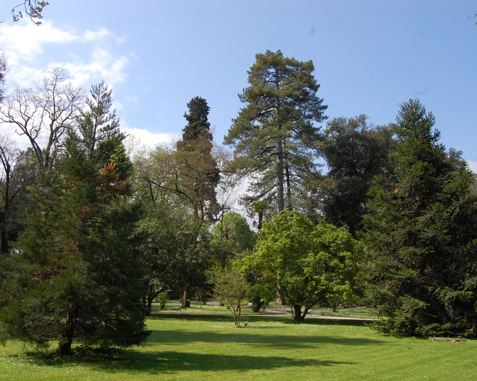 #GEP2026 Proteggere il patrimonio: conservare la biodiversità – visite guidate all’Orto botanico di Lucca